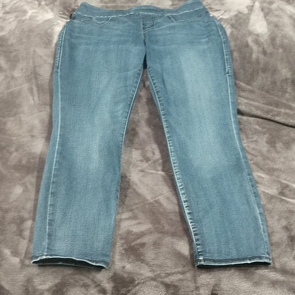 Rock & Republic Pull On Ankle Jeans